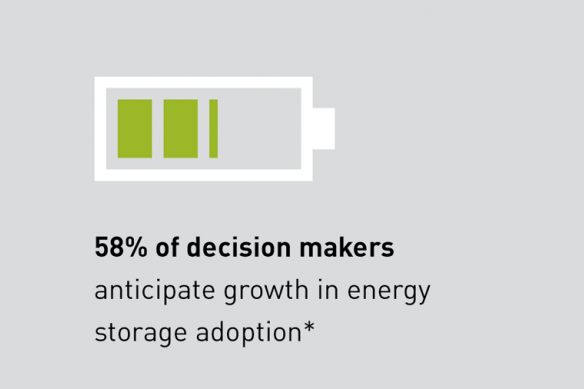 58% of decision makers anticipate growth in energy storage adoption*