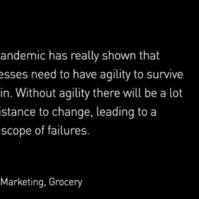 Quote: "This pandemic has really shown that businesses need to have agility to survive and win. Without agility there will be a lot of resistance to change, leading to a wider scope of failures." VP of Marketing, Grocery