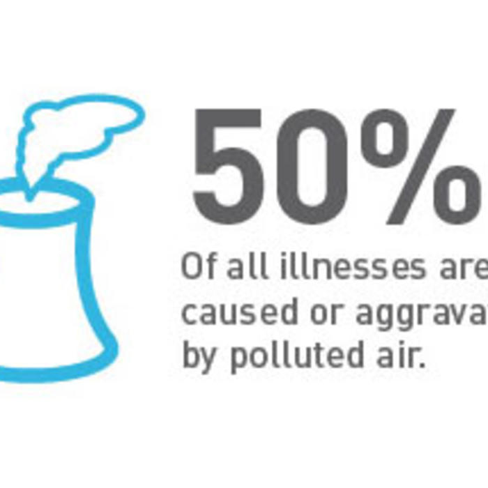 50 % of all illnesses are caused or aggravated by polluted air