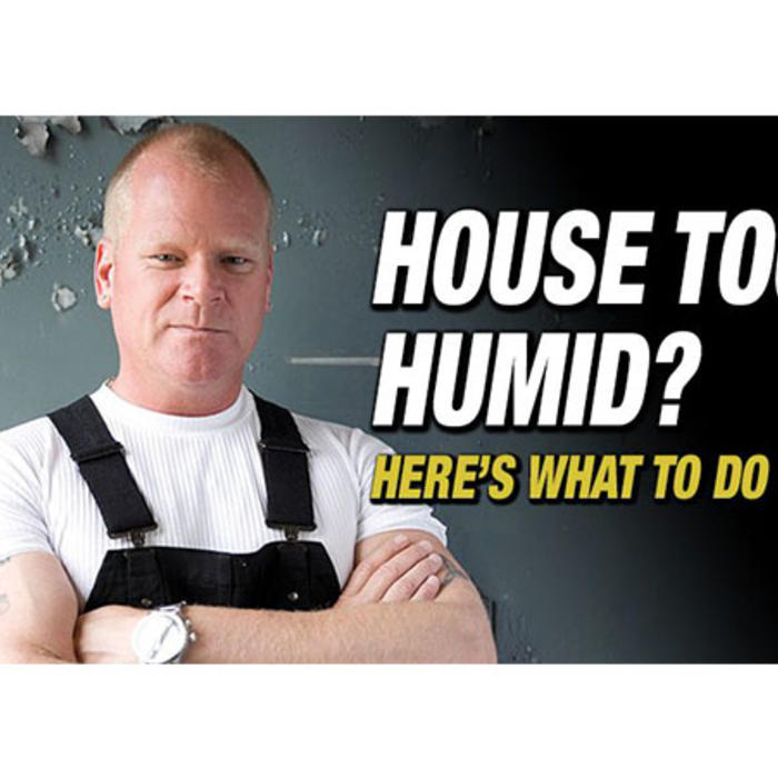 House too humid? - Here's what to do
