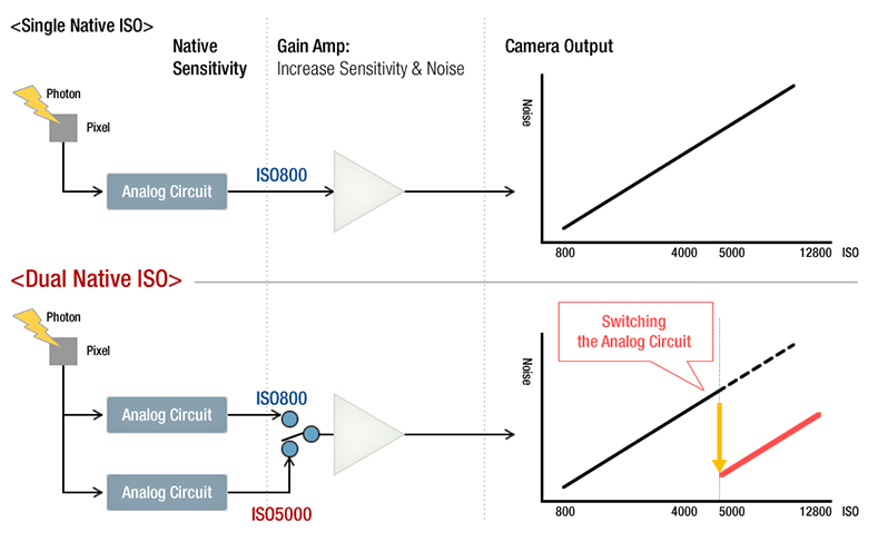 A diagram showing what is Dual Native ISO technology found in Panasonic varicam and eva1 cinema cameras