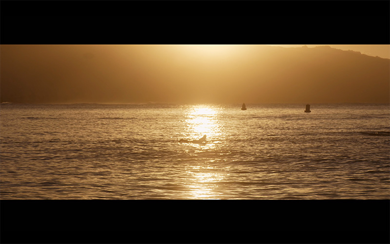 Surfing at golden hour