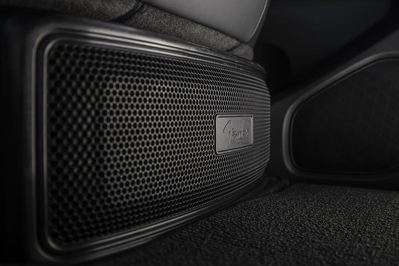 picture of the speaker in the frontier fender