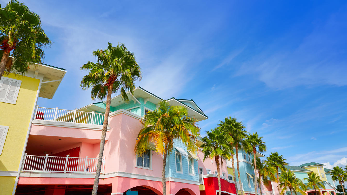 Florida Fort Myers colorful palm trees facades