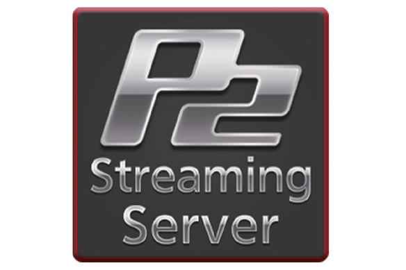 p2ss logo main image