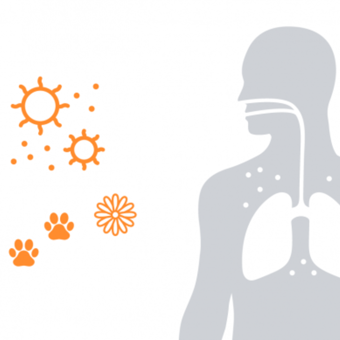 graphical representation of allergens: pollen, pet dander and dust