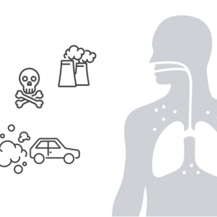 graphical representation of hazardous substances: car exhaust, poisons and air pollution