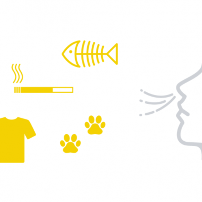 graphical representations of different unpleasant odors: cigarette smoke, pet odors, dirty laundry and food waste
