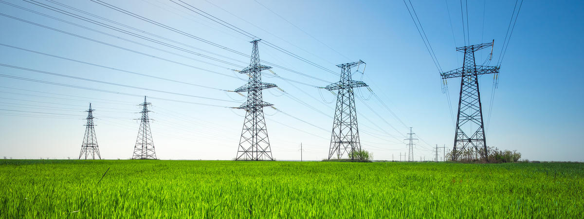 High voltage lines and power pylons in a green agricultural landscape with blue sky on a sunny day.