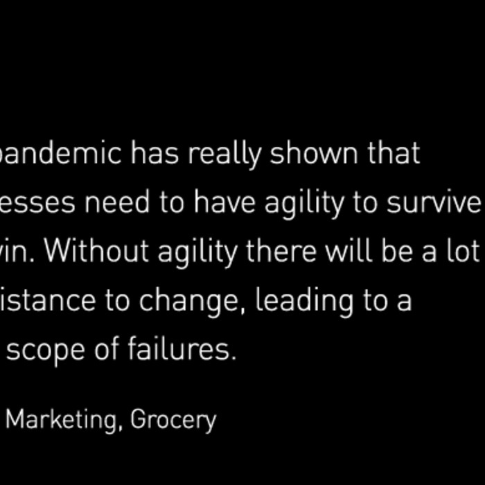 Quote from VP of Marketing for a grocery store: This pandemic has really shown that businesses need to have agility to survive and win. Without agility, there will be a lot of resistance to change, leading to a wider scope of failures.